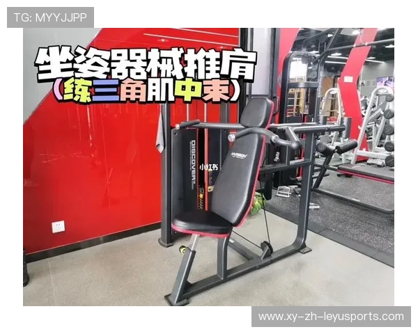 健身房的器械哲学：固定器械与自由重量，健身房固定器械使用方法